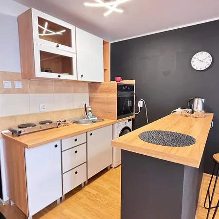 Apartament Lokal Typu 66 Łódź