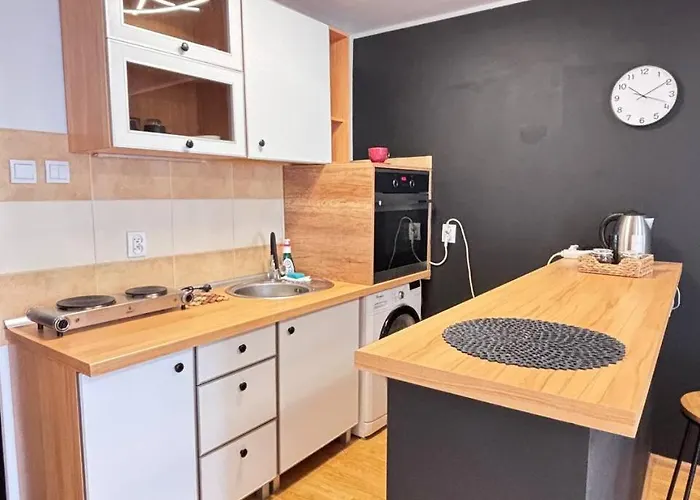 Lägenhet Lokal Typu 66 Łódź